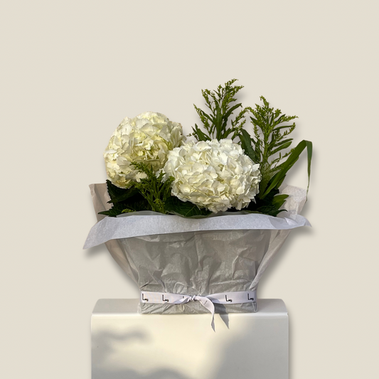 White Pearl