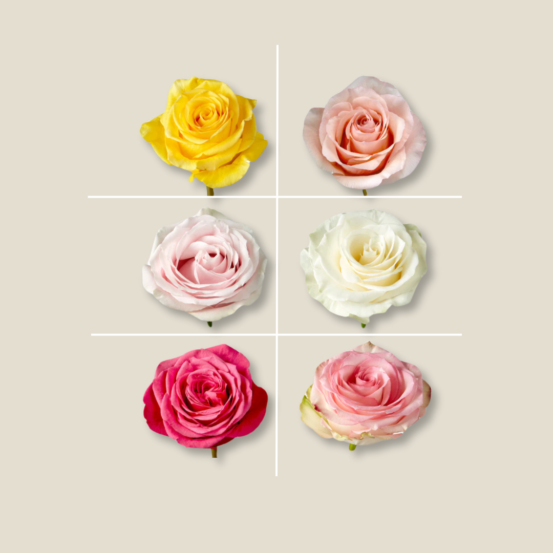 Roses