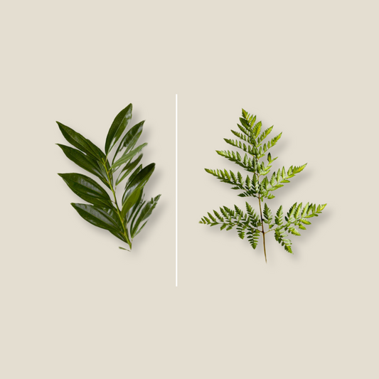 Leaves