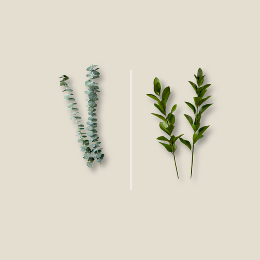 Leaves